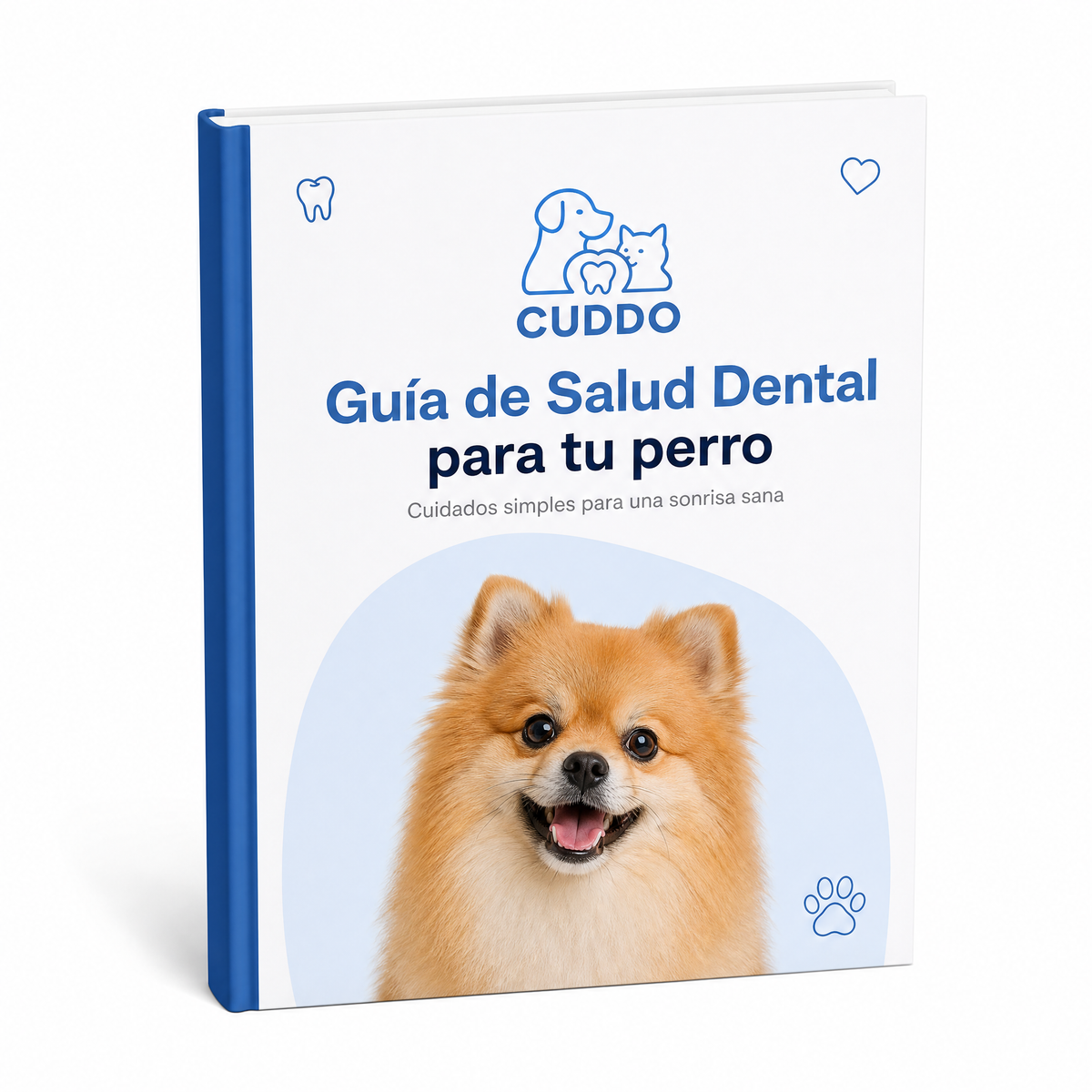 Guia Dental