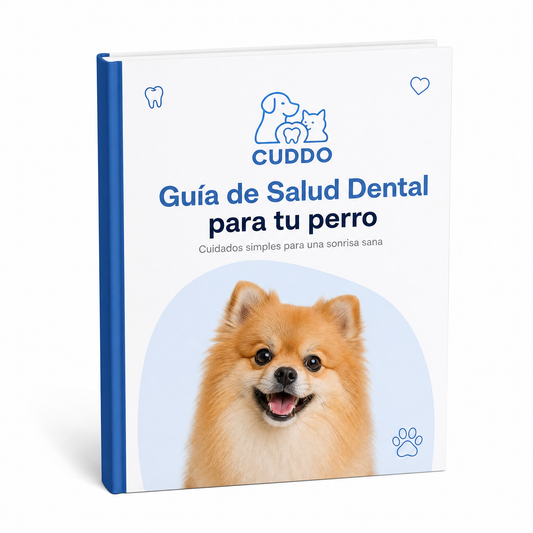 Guia Dental
