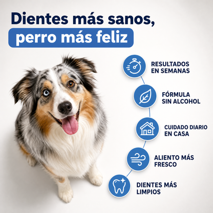Spray Dental Para Perros